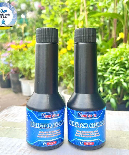 Vệ Sinh Buồng Đốt Kingstar